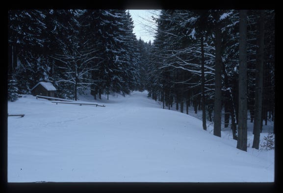 2005 dias pragostsee schneewald nah der grenze