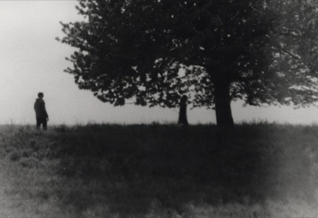 abschied unterm baum 2