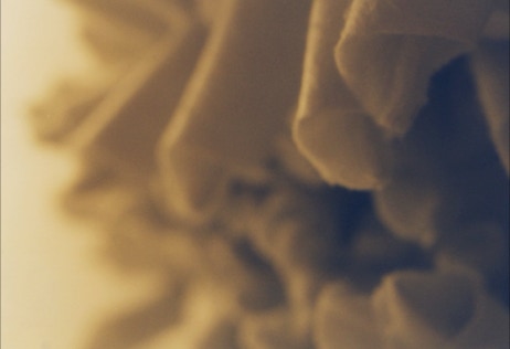 kleiddetail
