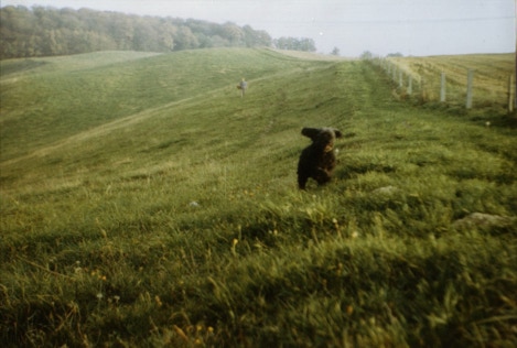 martina und morchien