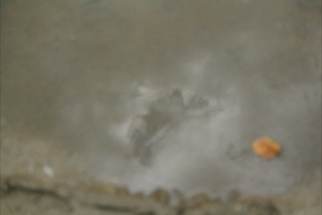 pfutzenwolken