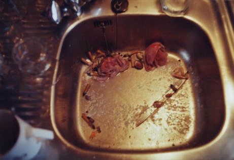 spule nach durchzechter nacht
