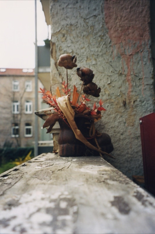 trockenblumen auf hallenser balkon